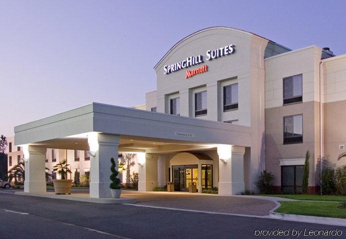 Springhill Suites By Marriott Voorhees Mt. Laurel/Cherry Hill Exterior foto